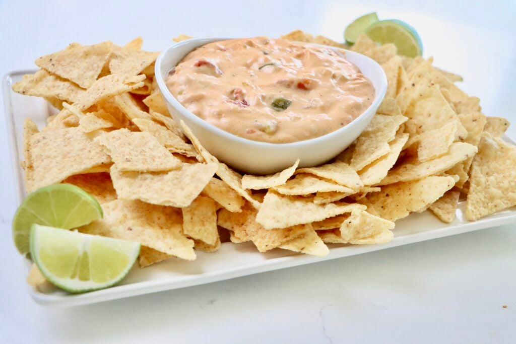 Homemade Queso in a bowl surrounded by tortilla chips