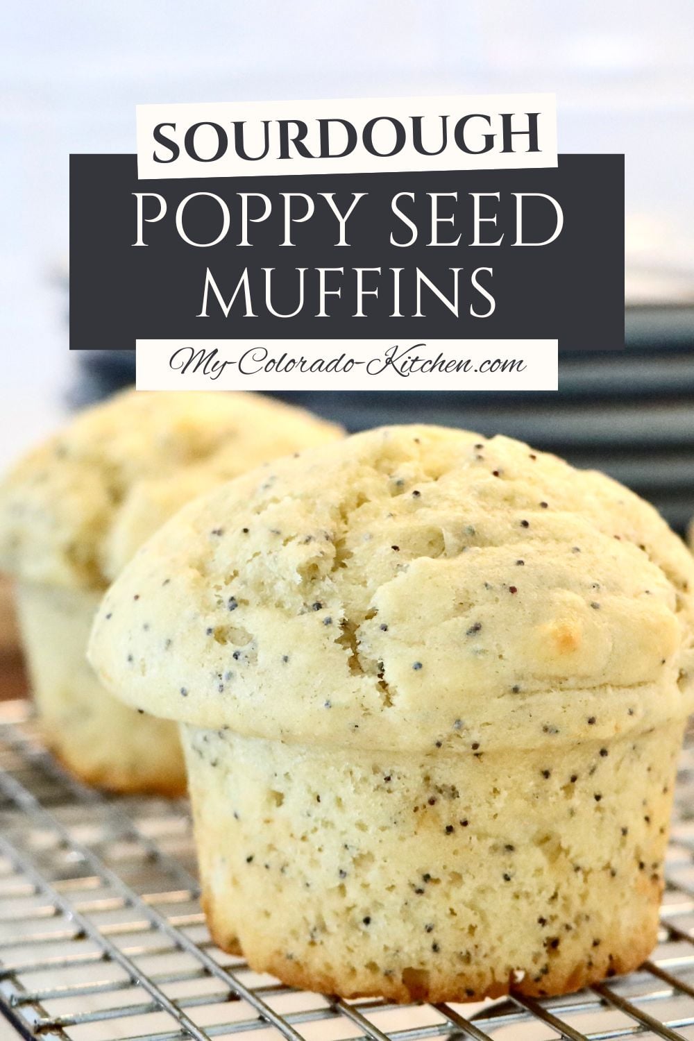 Sourdough discard poppy seed muffins with tall bakery-style tops, soft and fluffy texture, made from scratch with real ingredients