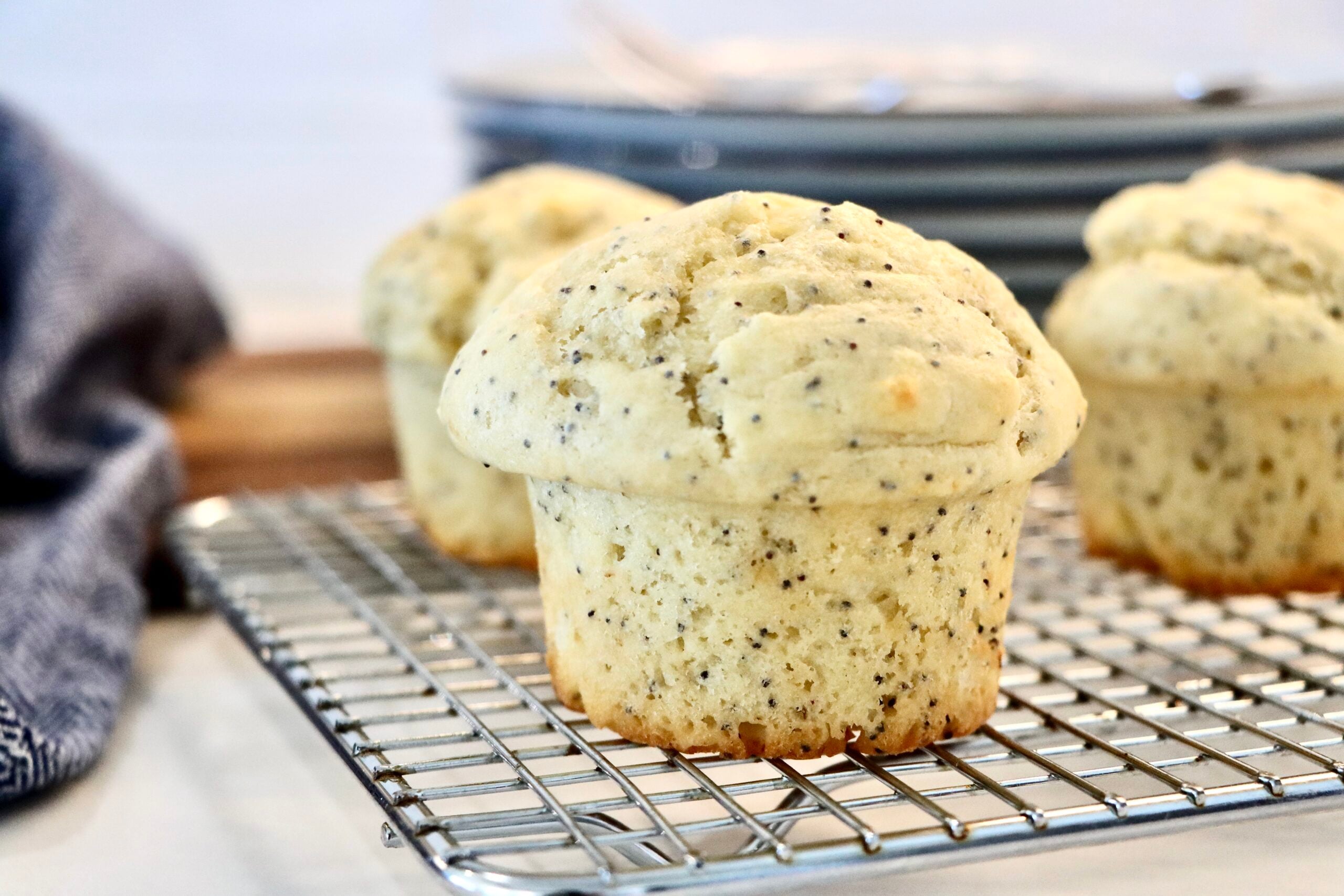 Sourdough discard poppy seed muffins with tall bakery-style tops, soft and fluffy texture, made from scratch with real ingredients