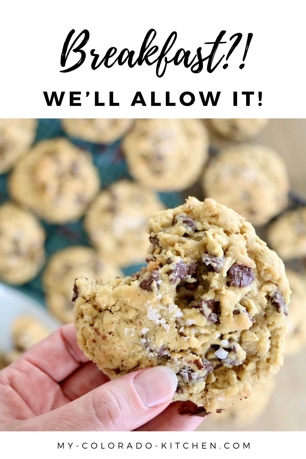 Hand holding a warm oatmeal chocolate chip cookie with a bite taken out