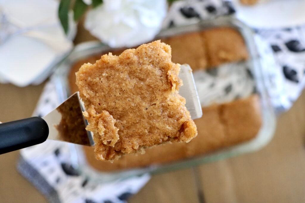 Close-up of moist spice cake crumb
